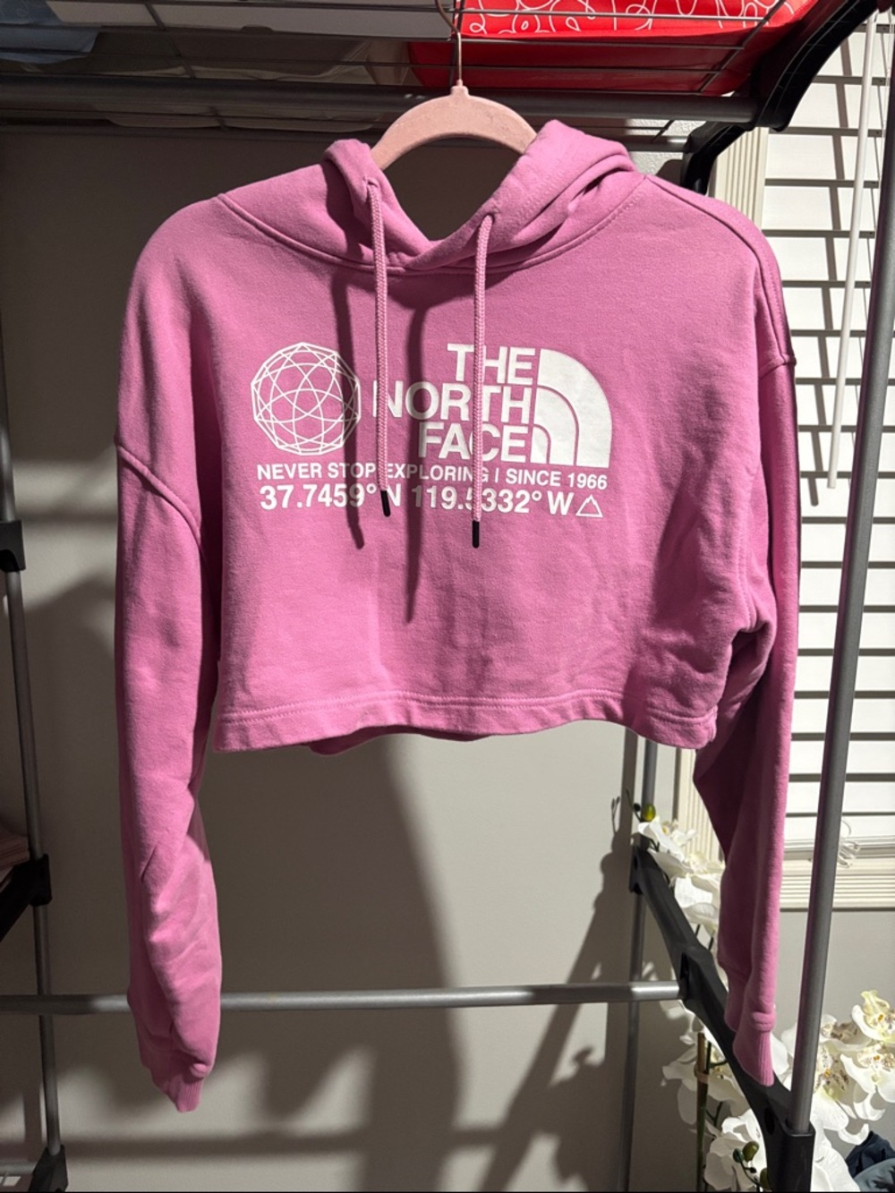 The North Face Coordinates Crop Drop Pullover Hoodie - Picture 2 of 4